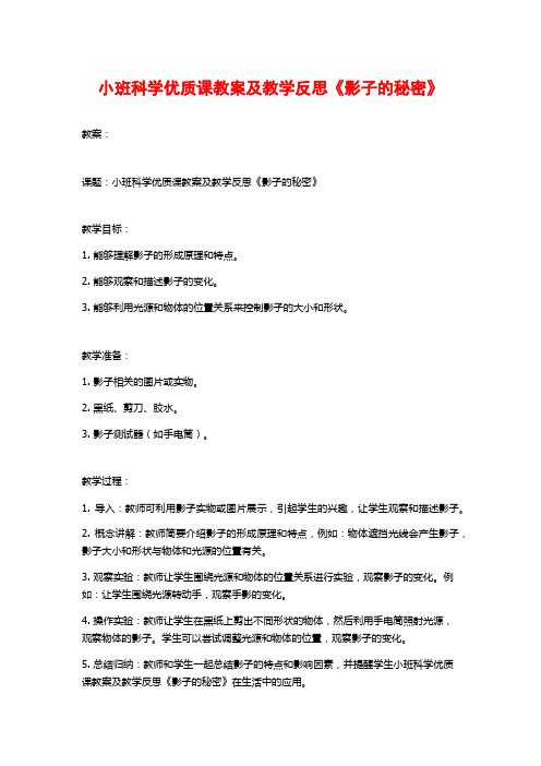 小班科学优质课教案及教学反思《影子的秘密》