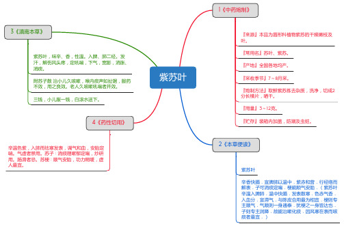 紫苏叶_思维导图_中药学_药材来源详解