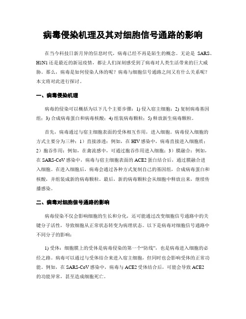 病毒侵染机理及其对细胞信号通路的影响