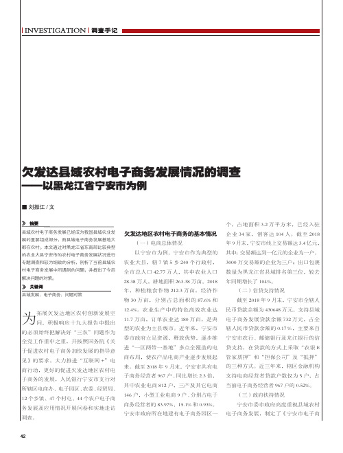 欠发达县域农村电子商务发展情况的调查——以黑龙江省宁安市为例