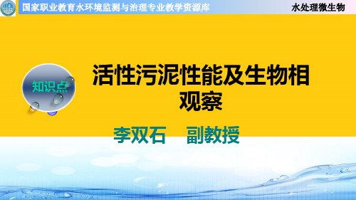 活性污泥性能及生物相观察实用PPT文档