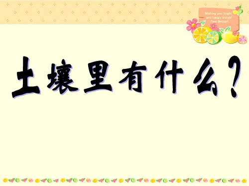 《土壤里有什么》PPT