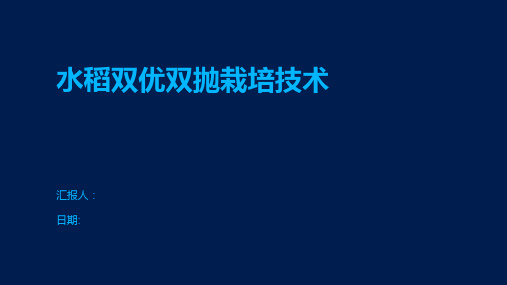 水稻双优双抛栽培技术