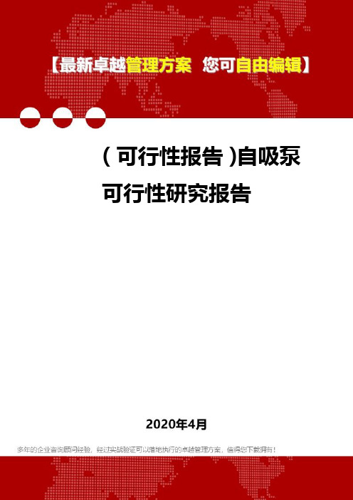 (可行性报告)自吸泵可行性研究报告