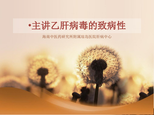 主讲乙肝病毒的致病性_海南琼岛医院