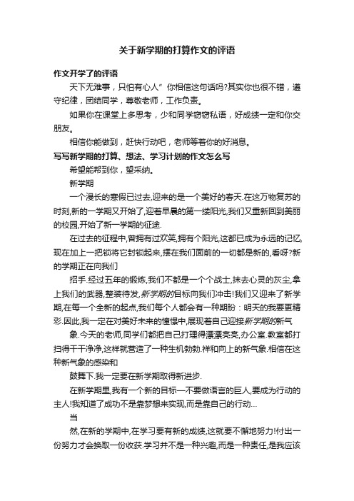 关于新学期的打算作文的评语