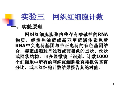 网织红细胞计数PPT课件