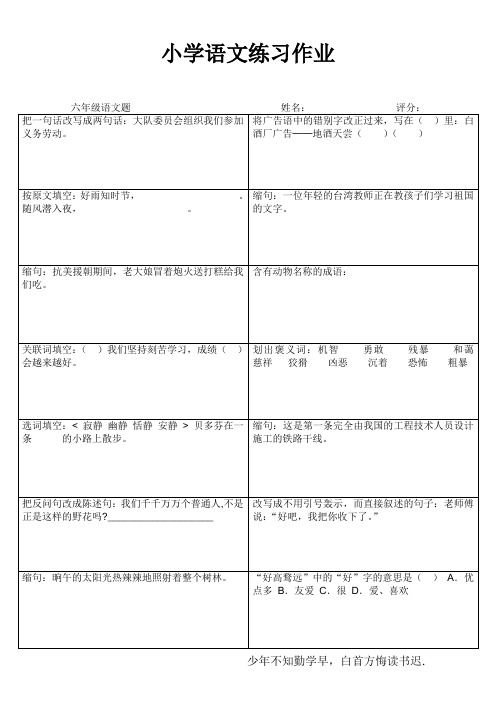 小学六年级语文期末冲刺训练1000题 (527)