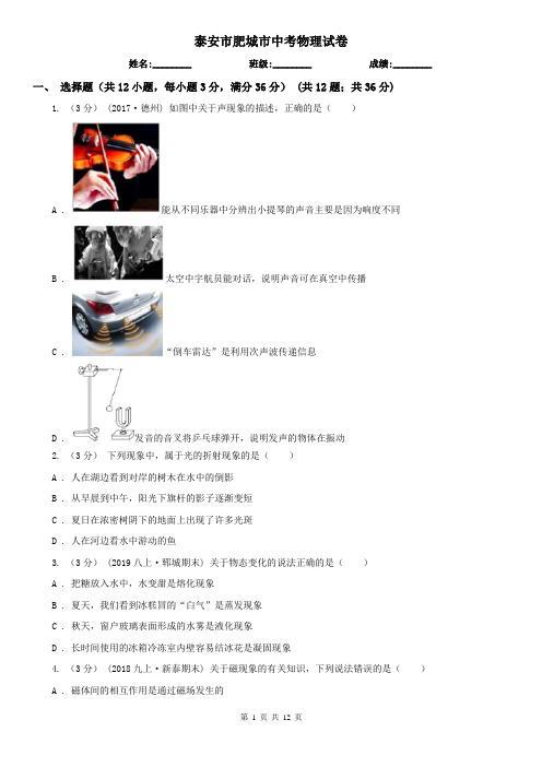 泰安市肥城市中考物理试卷