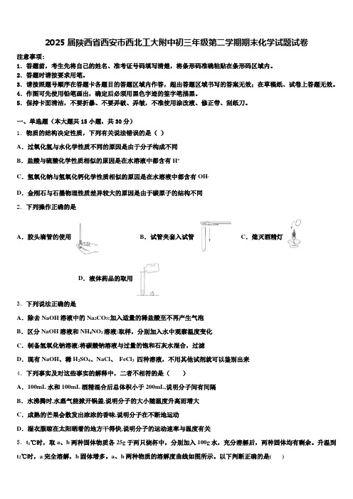 2025届陕西省西安市西北工大附中初三年级第二学期期末化学试题试卷含解析