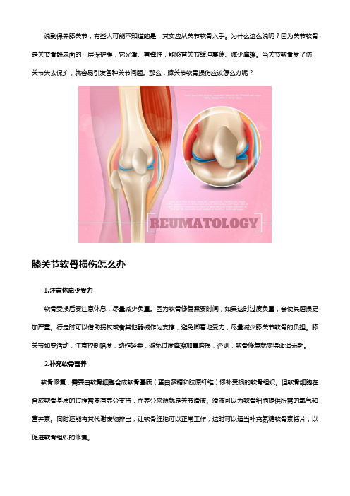 认识氨糖软骨素钙片的功效和作用,修复膝关节软骨损伤