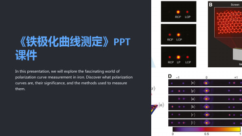 《铁极化曲线测定》课件