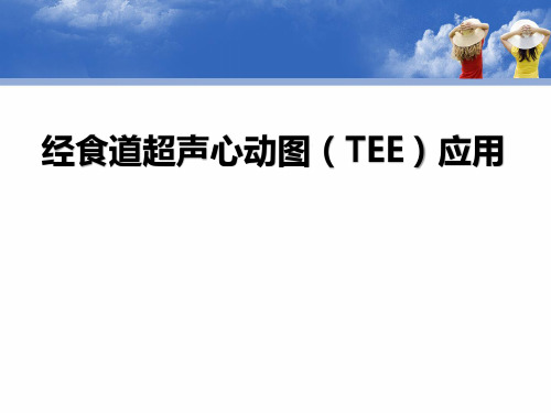 经食道超声心动图应用幻灯片课件