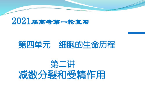 2021届高三生物一轮复习减数分裂和受精作用