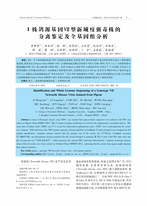 1株鸽源基因Ⅶ型新城疫强毒株的分离鉴定及全基因组分析