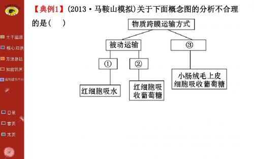 必修1 第4章 物质跨膜运输的方式练习