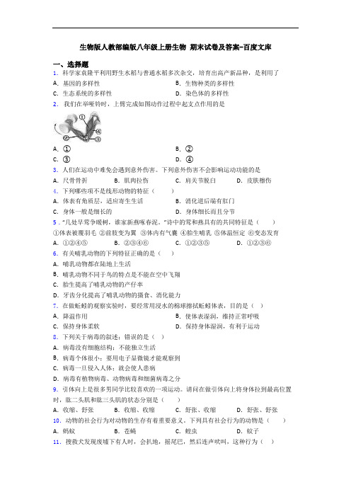 生物版人教部编版八年级上册生物 期末试卷及答案-百度文库