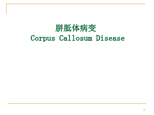 胼胝体病变幻灯片课件