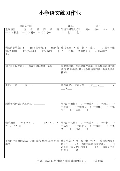 小学一年级语文课后作业38