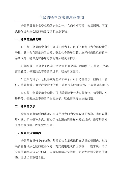 仓鼠的喂养方法和注意事项