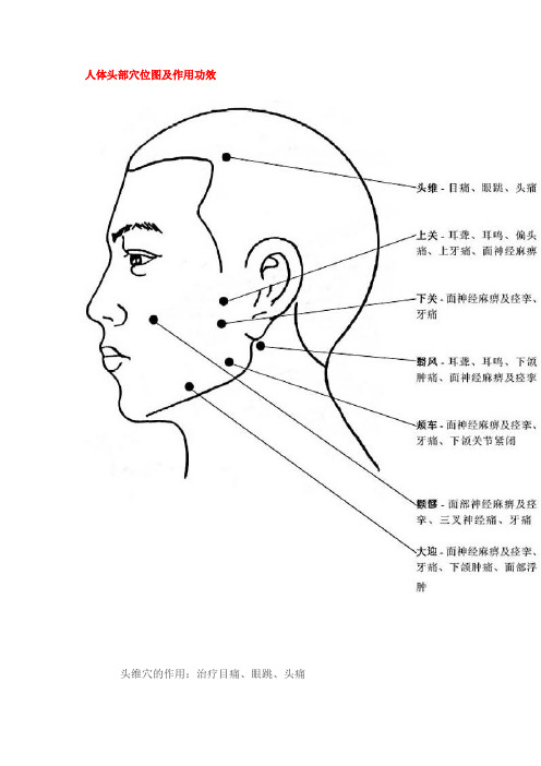 人体穴位作用图解大全