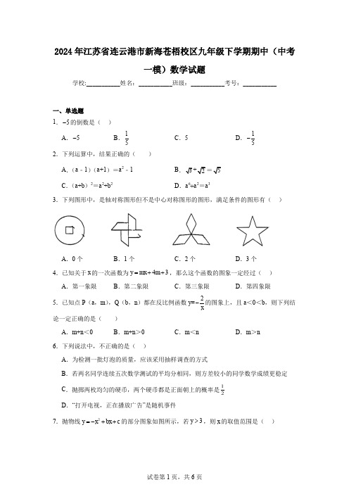 2024年江苏省连云港市新海苍梧校区九年级下学期期中(中考一模)数学试题