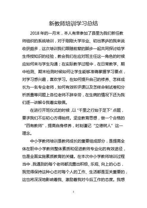 2018新教师培训学习总结 (2)