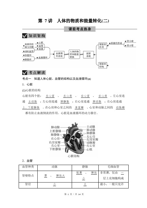 第1篇 第7讲 人体的物质和能量转化(2)  华东师大版中考科学考点突破讲义(教师版含答案)  