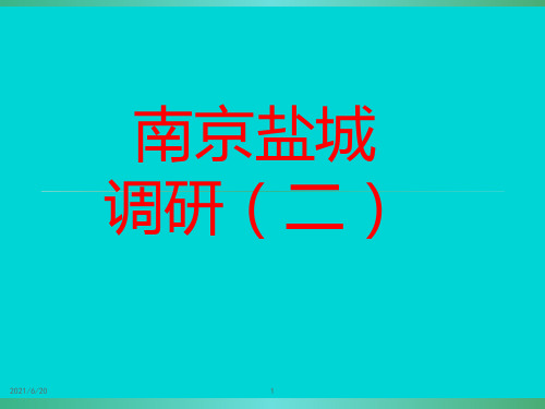 江苏省南京盐城市高三第二次模拟语文评讲课件(共58张PPT