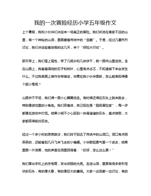 我的一次冒险经历小学五年级作文