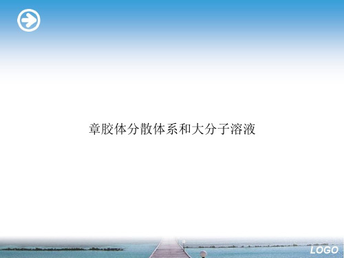 章胶体分散体系和大分子溶液优选演示