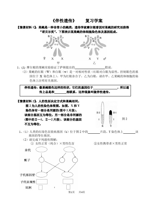 高中生物 伴性遗传复习学案