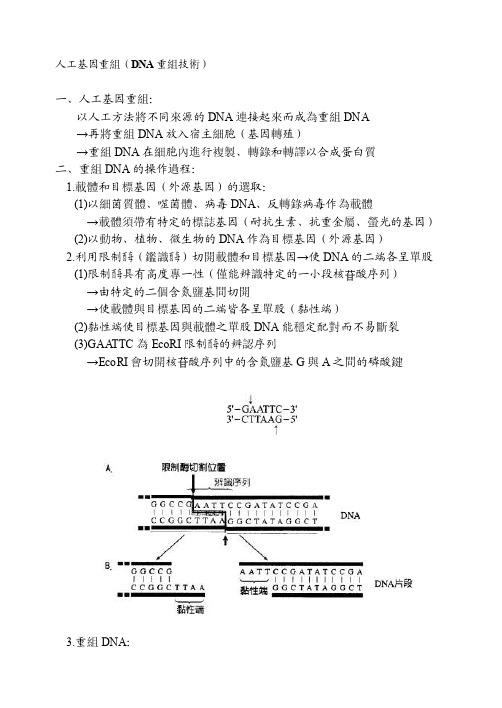 人工基因重组（DNA重组技术）