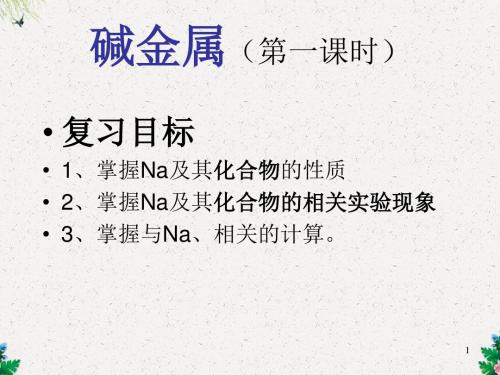 高二化学精品课件 碱金属