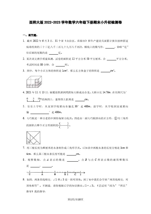 西师大版2022-2023学年数学六年级下册期末小升初检测卷(含解析)