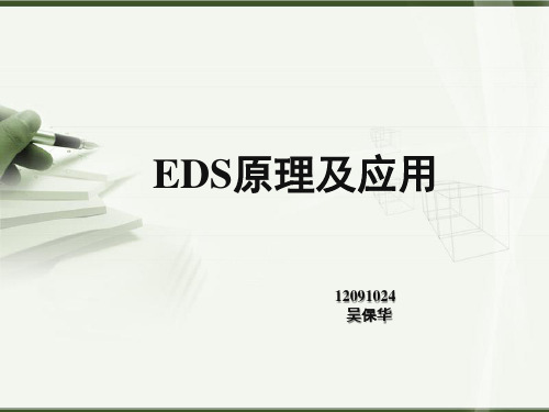 EDS能谱检测  ppt课件