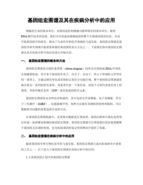 基因组宏图谱及其在疾病分析中的应用