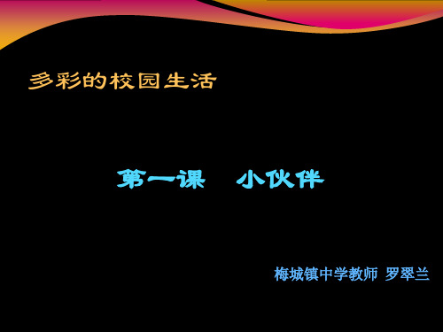 思游中学中学罗翠兰+七年级上-小伙伴课件