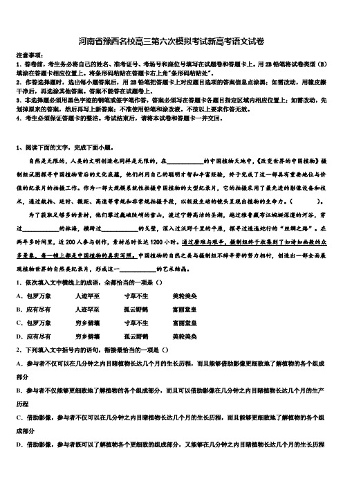 河南省豫西名校高三第六次模拟考试新高考语文试卷及答案解析