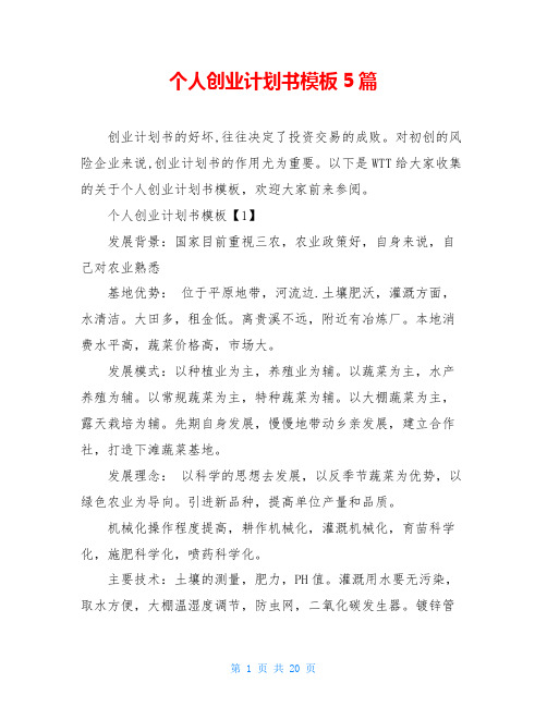 个人创业计划书模板5篇