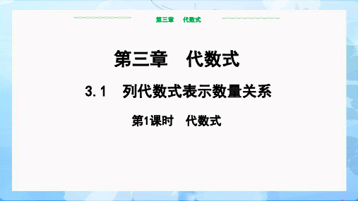 3.1列代数式表示数量关系(第1课时+代数式)课件2024-2025学年人教版数学七年级上册