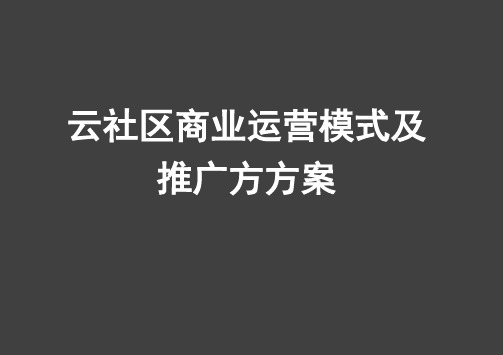 互联网+社区 云社区商业运营模式及推广方方案