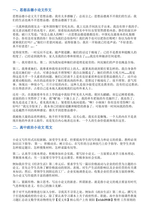 政治小论文的范文