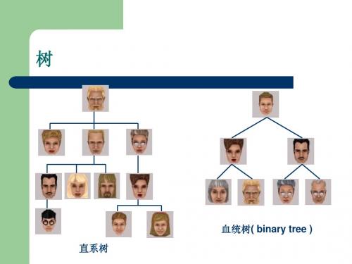 软件技术基础第二章(5)