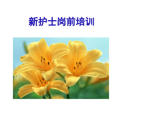 新护士岗前培训规范化护士法律法规PPT