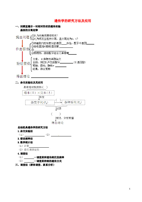 人教版2020高考生物一轮复习 例题讲解 专题 遗传学的研究方法及应用学案(无答案)