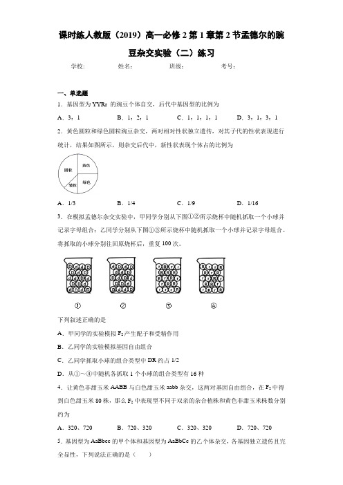 课时练人教版高一必修2第1章第2节孟德尔的豌豆杂交实验(二)练习