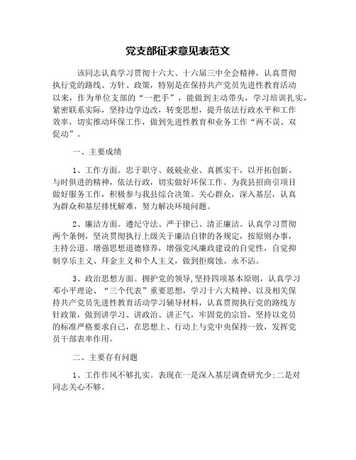 党支部征求意见表范文