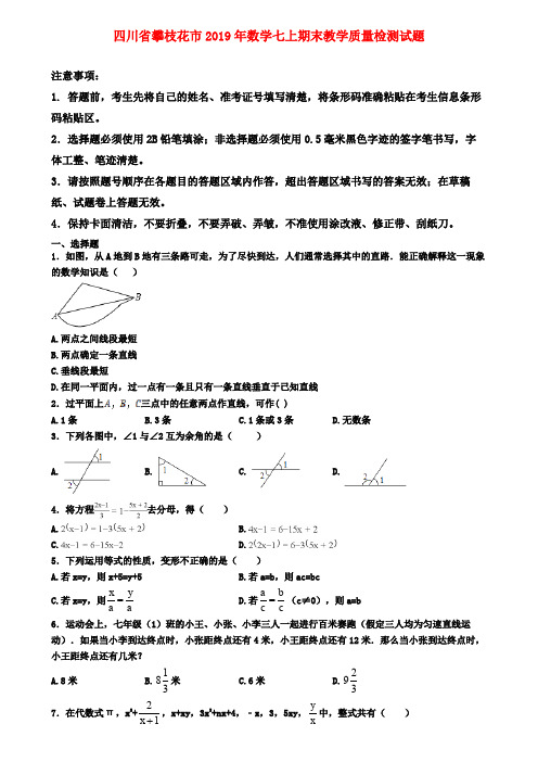 【名校名卷】四川省攀枝花市2019年数学七上期末教学质量检测试题