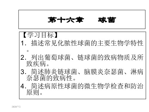 16第十六章  球菌 《病原生物与免疫学》课件